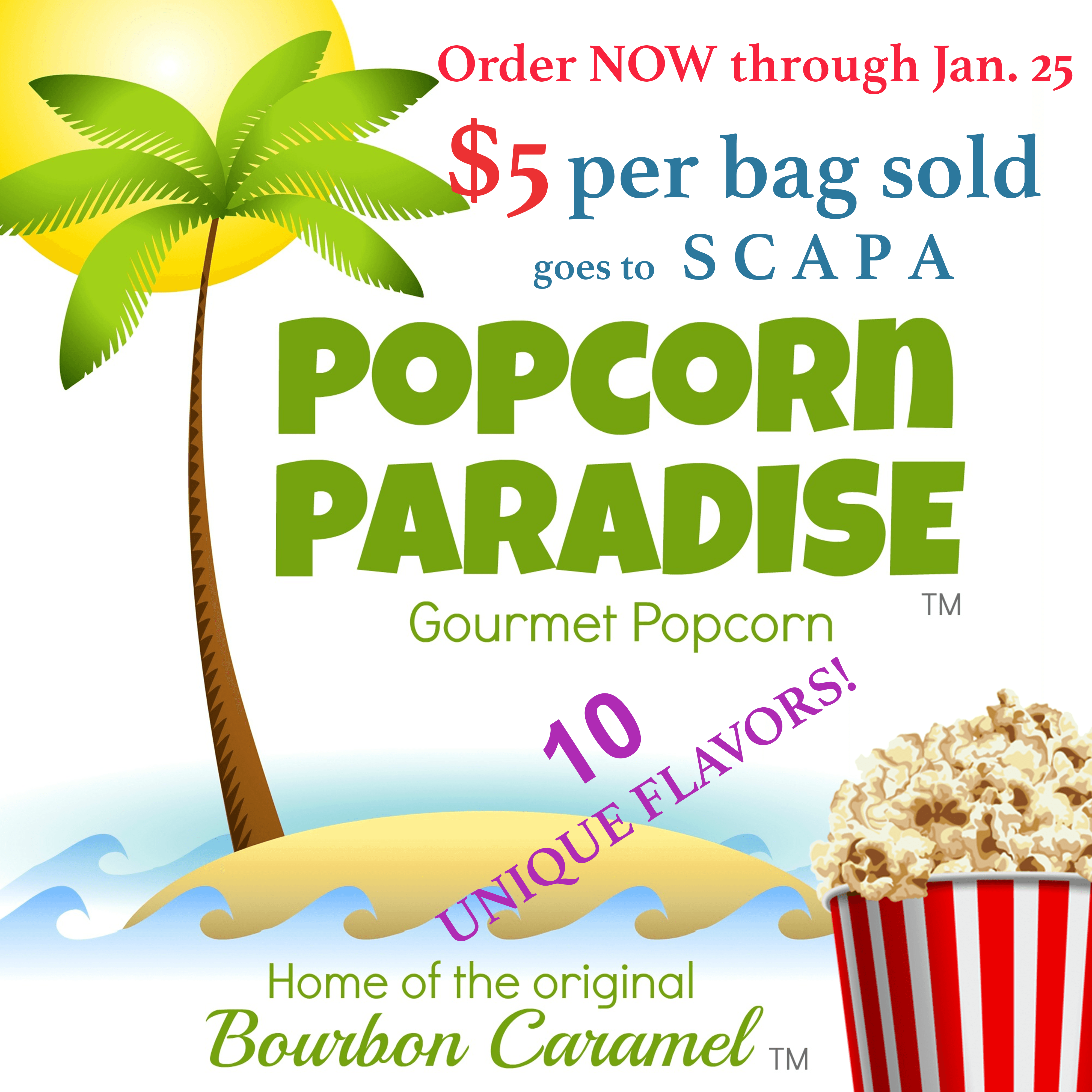 You are currently viewing Popping into the New Year!